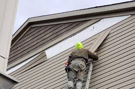 Best Custom Siding Design  in Sarcoxie, MO